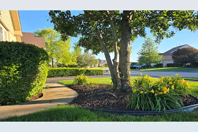 53 Odyssey Drive, Tinley Park, IL 60477 - Photo 12