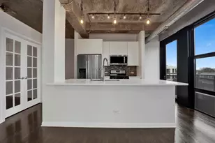 1000 W 15th St, Chicago, IL 60608 - Photo 2