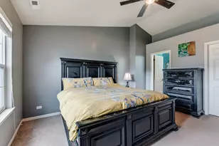 817 Summit Creek Dr, Shorewood, IL 60404 - Photo 10