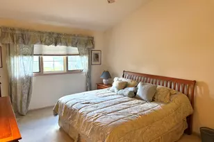 8821 Bluebird Dr, Tinley Park, IL 60487 - Photo 12