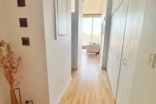 1720 S Michigan Ave, Chicago, IL 60616 - Photo 8