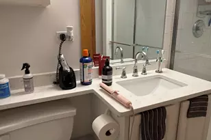 865 W Buckingham Pl, Chicago, IL 60657 - Photo 22