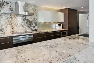 161 E Chicago Ave, Chicago, IL 60611 - Photo 8