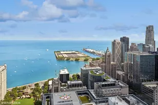 161 E Chicago Ave, Chicago, IL 60611 - Photo 10
