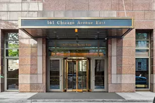 161 E Chicago Ave, Chicago, IL 60611 - Photo 28