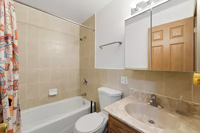 313 W 23rd Street #403, Chicago, IL 60616 - Photo 10