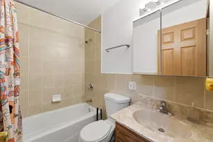 313 W 23rd St, Chicago, IL 60616 - Photo 10