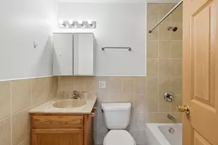 313 W 23rd St, Chicago, IL 60616 - Photo 16