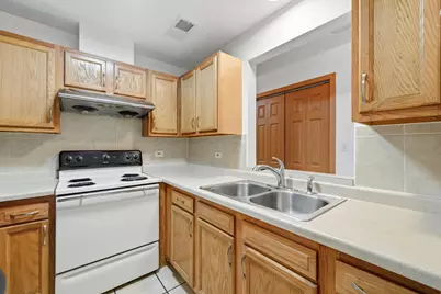 313 W 23rd Street #403, Chicago, IL 60616 - Photo 8