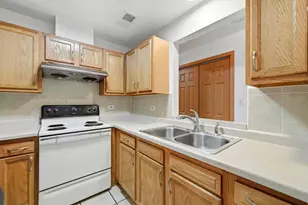 313 W 23rd St, Chicago, IL 60616 - Photo 8