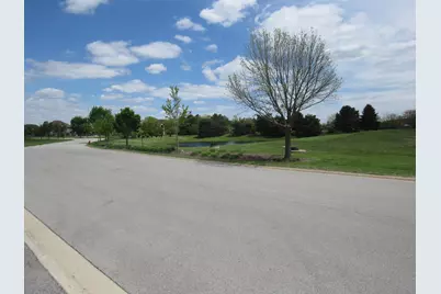 22276 Elise Boulevard, Frankfort, IL 60423 - Photo 4