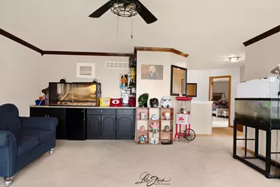 7801 Mossheather Drive, Joliet, IL 60431 - Photo 16