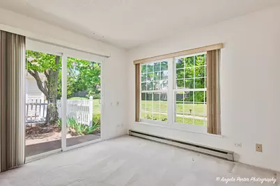 7227 Wheaton Lane #355, Fox Lake, IL 60020 - Photo 20