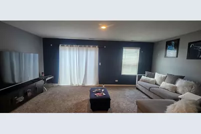 612 Spring Leaf Drive, Joliet, IL 60431 - Photo 14