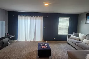 612 Spring Leaf Dr, Joliet, IL 60431 - Photo 14