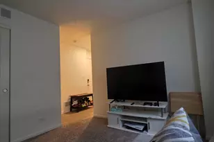 612 Spring Leaf Dr, Joliet, IL 60431 - Photo 36