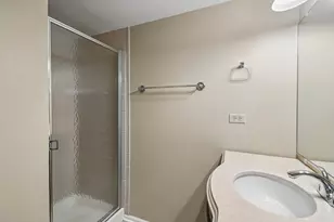 1036 E Meadow Lake Dr, Palatine, IL 60074 - Photo 26