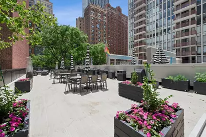 200 E Delaware Place #24F, Chicago, IL 60601 - Photo 28