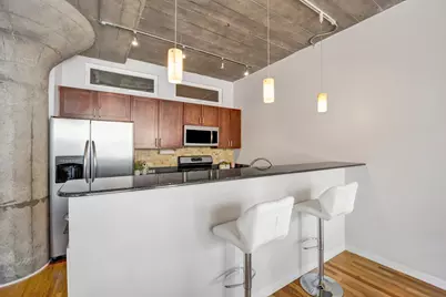 1070 W 15th Street #203, Chicago, IL 60608 - Photo 10