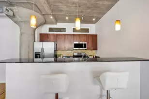 1070 W 15th St, Chicago, IL 60608 - Photo 12