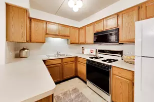 6430 W Belle Plaine Ave, Chicago, IL 60634 - Photo 10