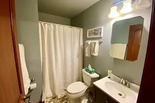 1126 S Eagle Chase Dr, Seneca, IL 61360 - Photo 18