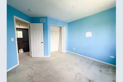3821 Spring Lake Court, Joliet, IL 60435 - Photo 22