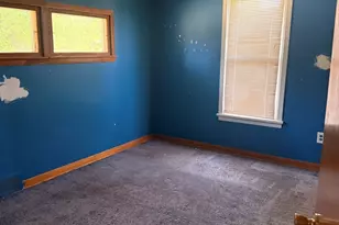 307 S St Paul St, Mark, IL 61340 - Photo 8