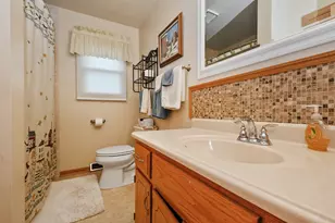 24806 S Potawatomie Trail, Channahon, IL 60410 - Photo 14