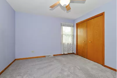 24806 S Potawatomie Trail, Channahon, IL 60410 - Photo 16