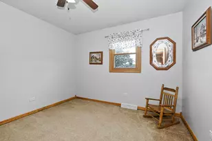 24806 S Potawatomie Trail, Channahon, IL 60410 - Photo 12