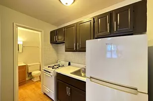 4537 N Dover St, Chicago, IL 60640 - Photo 4