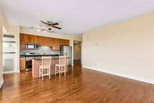1717 S Prairie Ave, Chicago, IL 60616 - Photo 14