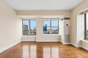 1717 S Prairie Ave, Chicago, IL 60616 - Photo 8