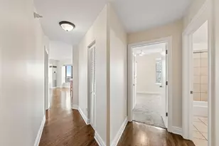 1717 S Prairie Ave, Chicago, IL 60616 - Photo 20