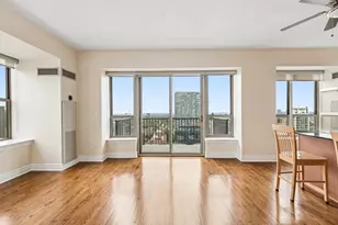 1717 S Prairie Ave, Chicago, IL 60616 - Photo 6