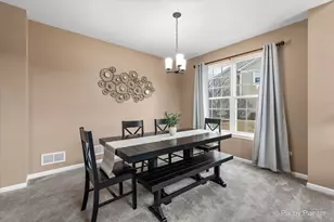 26428 Rustling Birch Way, Plainfield, IL 60585 - Photo 12