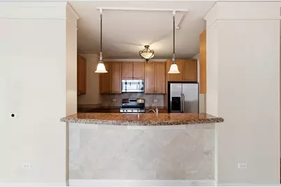 201 N Westshore Drive #1202, Chicago, IL 60601 - Photo 12
