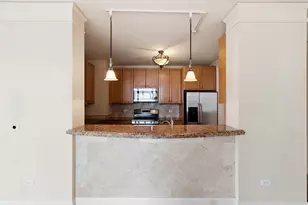 201 N Westshore Dr, Chicago, IL 60601 - Photo 12