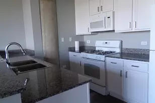 1550 S Blue Island Ave, Chicago, IL 60608 - Photo 6