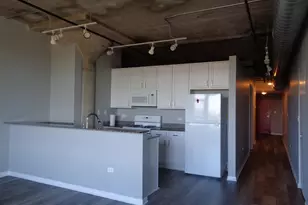 1550 S Blue Island Ave, Chicago, IL 60608 - Photo 4