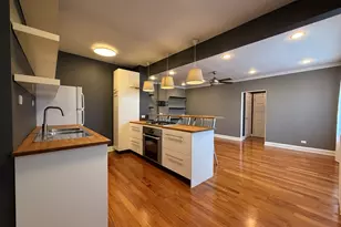 1103 Holly Ct, Oak Park, IL 60301 - Photo 4