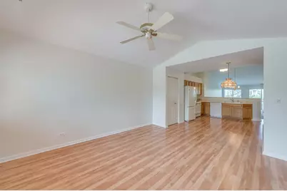 249 Sierra Pass Drive, Schaumburg, IL 60194 - Photo 10