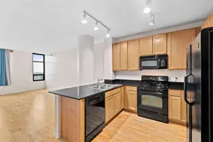 1255 S State St, Chicago, IL 60605 - Photo 2