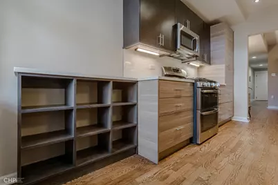 1408 W Argyle Street #1W, Chicago, IL 60640 - Photo 14