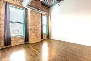 312 N May St, Chicago, IL 60607 - Photo 10