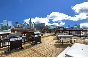 312 N May St, Chicago, IL 60607 - Photo 14
