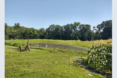 425 King Hill Lane, Vienna, IL 62995 - Photo 12