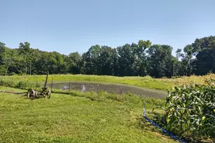 425 King Hill Ln, Vienna, IL 62995 - Photo 12