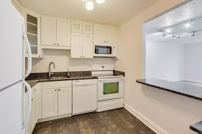 10 E Ontario Street #1303, Chicago, IL 60611 - Photo 10
